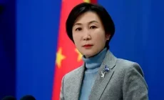 МИД Китая отреагировал на обращение Зеленского к Си Цзиньпину