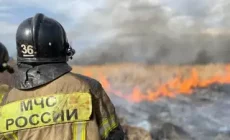 10 крупных лесных пожаров бушуют на территории России