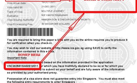 Как получить визу в Сингапур?